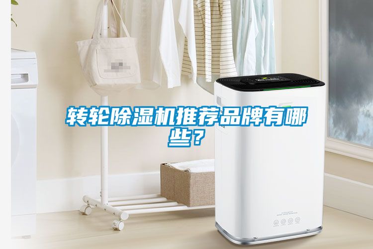 轉輪除濕機推薦品牌有哪些？