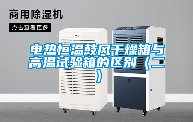 電熱恒溫鼓風(fēng)干燥箱與高溫試驗箱的區(qū)別（二）