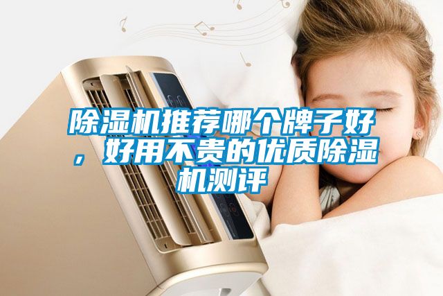 除濕機(jī)推薦哪個牌子好，好用不貴的優(yōu)質(zhì)除濕機(jī)測評