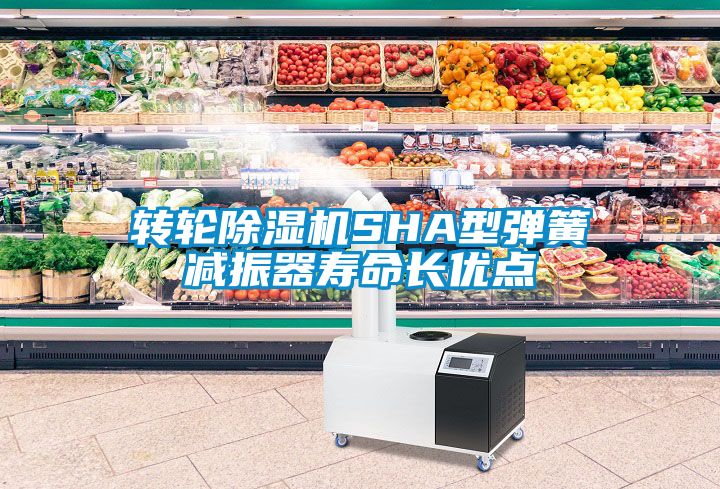 轉輪除濕機SHA型彈簧減振器壽命長優(yōu)點