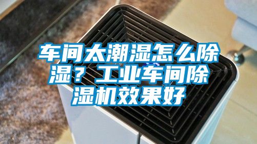 車間太潮濕怎么除濕？工業車間除濕機效果好