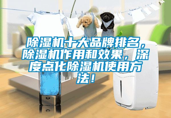 除濕機十大品牌排名，除濕機作用和效果，深度點化除濕機使用方法！