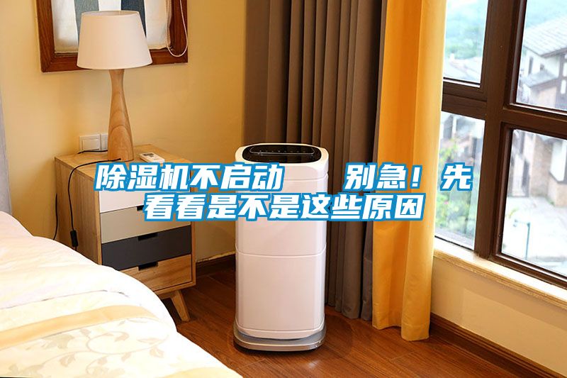 除濕機(jī)不啟動(dòng)   別急！先看看是不是這些原因