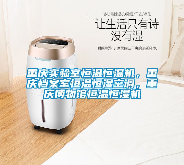 重慶實驗室恒溫恒濕機，重慶檔案室恒溫恒濕空調，重慶博物館恒溫恒濕機