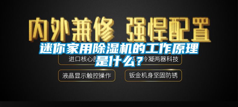 迷你家用除濕機的工作原理是什么？