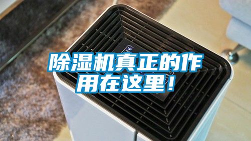 除濕機真正的作用在這里！