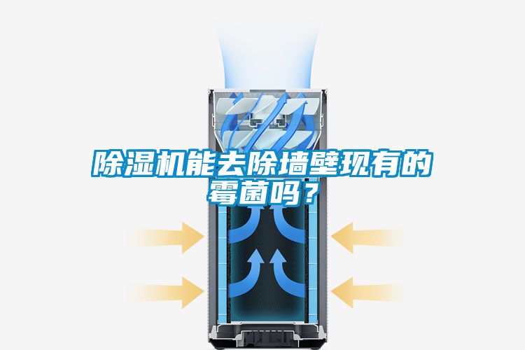 除濕機(jī)能去除墻壁現(xiàn)有的霉菌嗎？