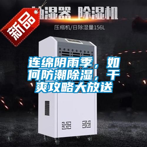 連綿陰雨季，如何防潮除濕，干爽攻略大放送