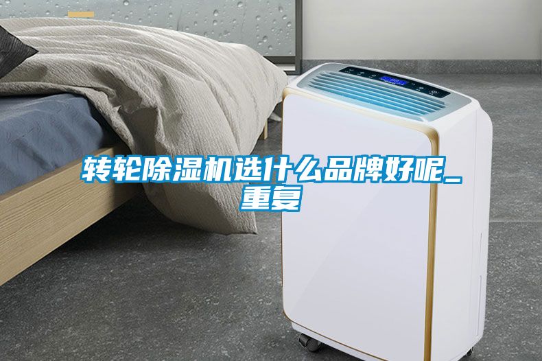 轉(zhuǎn)輪除濕機選什么品牌好呢_重復