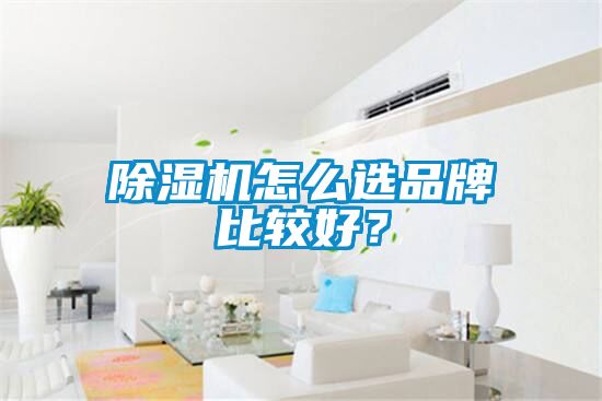 除濕機怎么選品牌比較好？