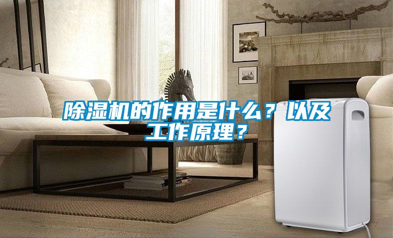 除濕機(jī)的作用是什么？以及工作原理？