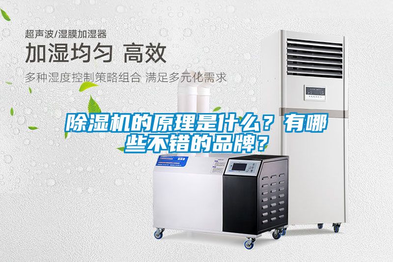 除濕機(jī)的原理是什么？有哪些不錯的品牌？
