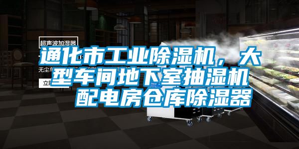 通化市工業除濕機，大型車間地下室抽濕機  配電房倉庫除濕器