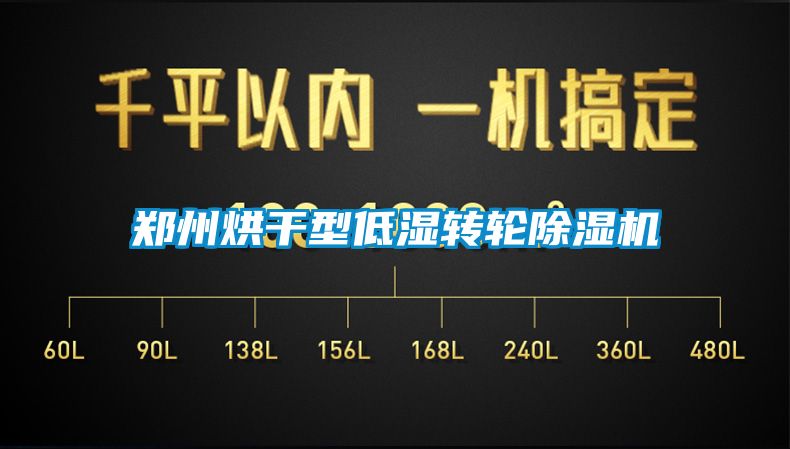 鄭州烘干型低濕轉(zhuǎn)輪除濕機
