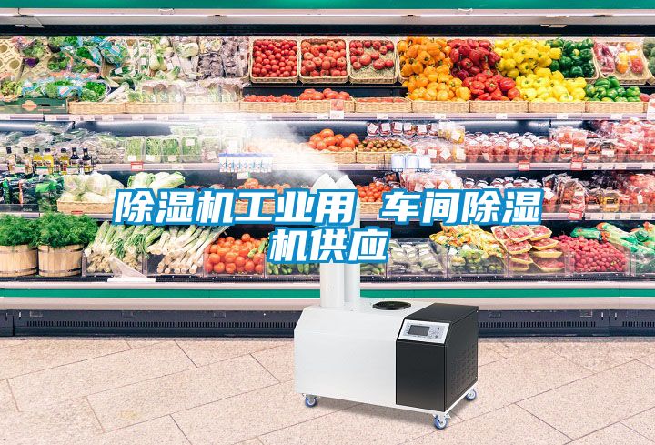 除濕機(jī)工業(yè)用 車(chē)間除濕機(jī)供應(yīng)