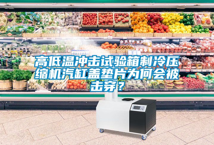 高低溫沖擊試驗(yàn)箱制冷壓縮機(jī)汽缸蓋墊片為何會(huì)被擊穿？