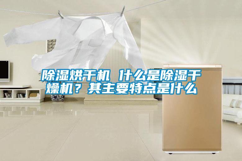 除濕烘干機 什么是除濕干燥機？其主要特點是什么